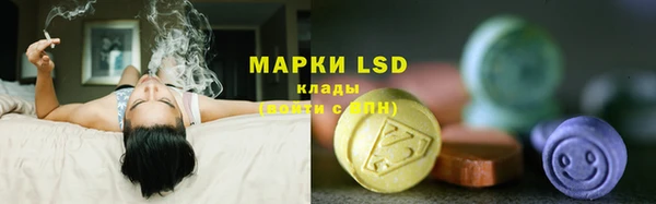 ECSTASY Дмитровск